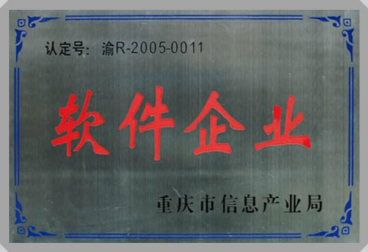 IT行業(yè)資質(zhì)及榮譽