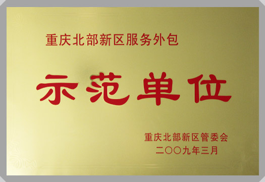 IT行業(yè)資質(zhì)及榮譽