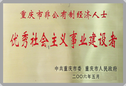 集團(tuán)榮譽(yù)