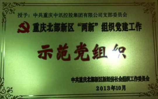 集團(tuán)榮譽(yù)